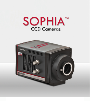 SOPHIA C(j)